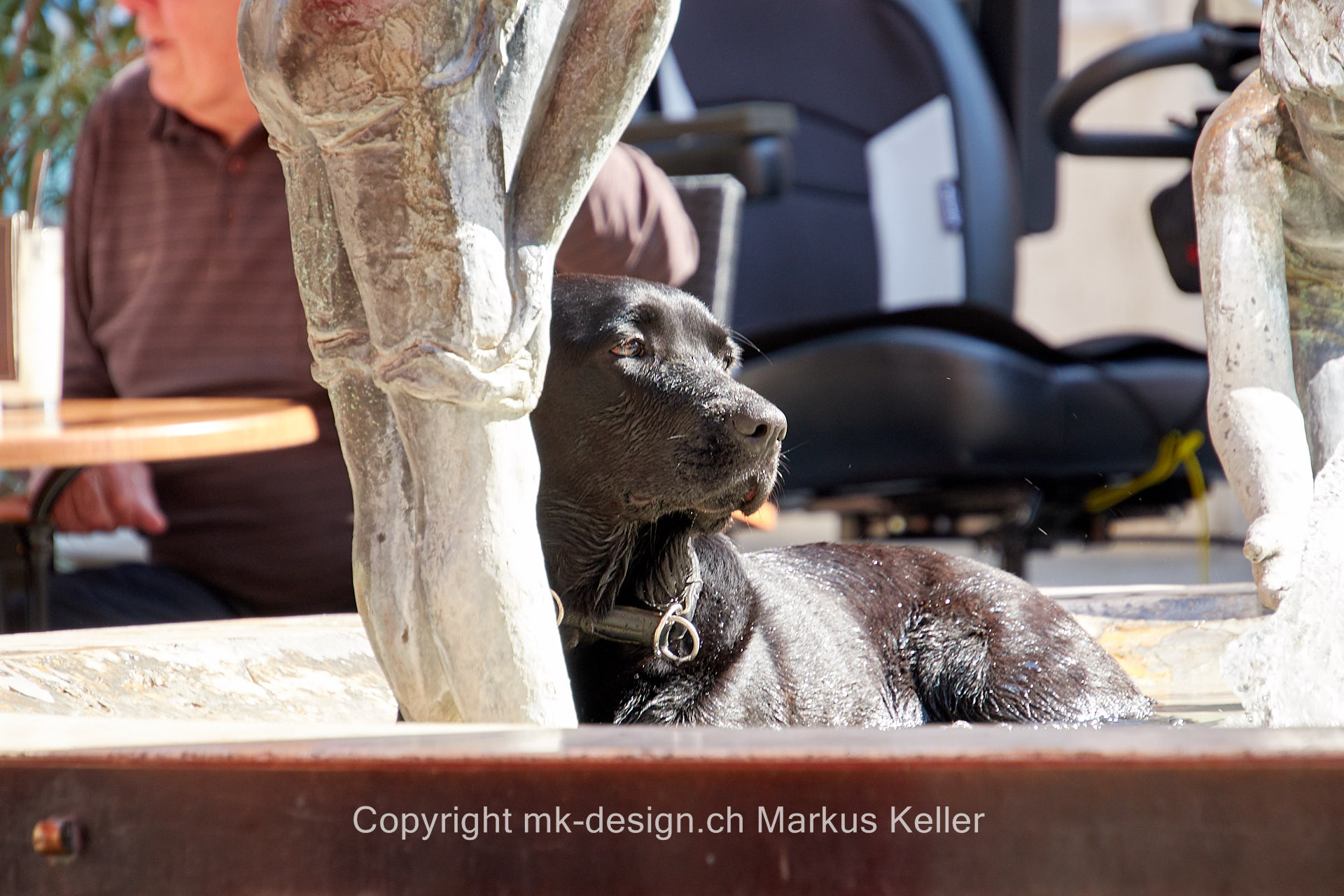 Bauwerk   Brunnen   Statue/Skulptur   Tier   Hund   