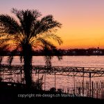 Fluss   Nil   Pflanze   Baum   Palme   Sonne   Sonnenuntergang   