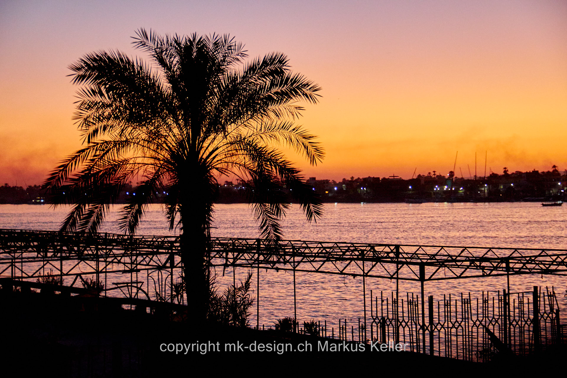 Fluss   Nil   Pflanze   Baum   Palme   Sonne   Sonnenuntergang   